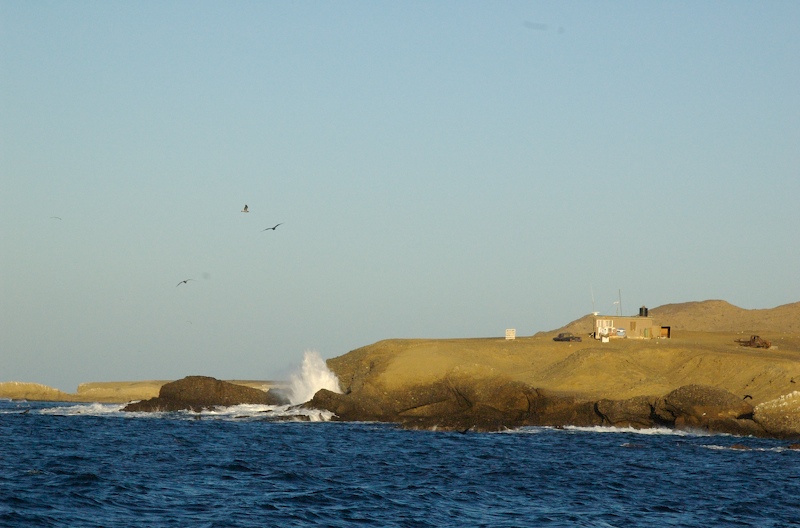 Bahia de Tortugas Coastline