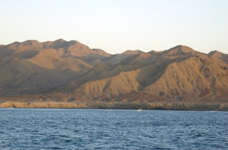 Bahia de Tortugas Coastline