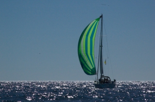 Another Baja Ha-ha racer flying a Spinnaker