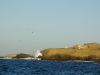 Bahia de Tortugas Coastline