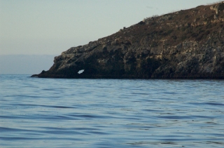 Santa Cruz Island